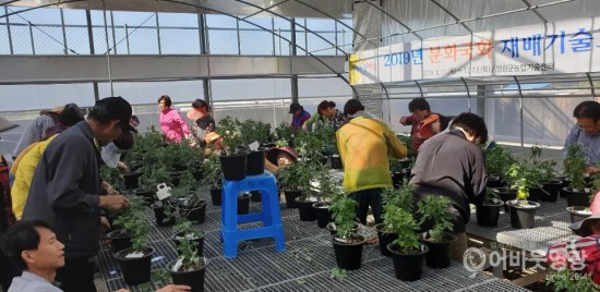 영광군농업기술센터, 국화 분재교육 인기 2.JPG