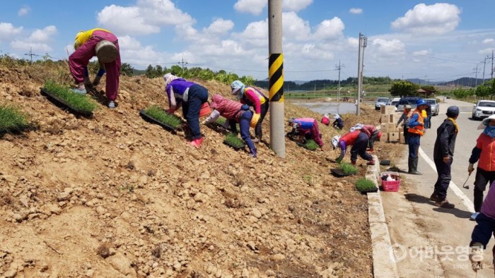 군서면, 100리 꽃길사업 본격 출발 2.jpg