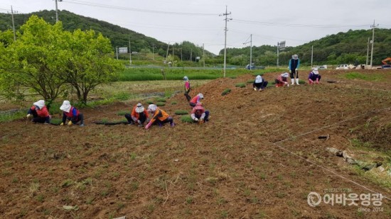 군서면, 100리 꽃길사업 본격 출발 3.jpg