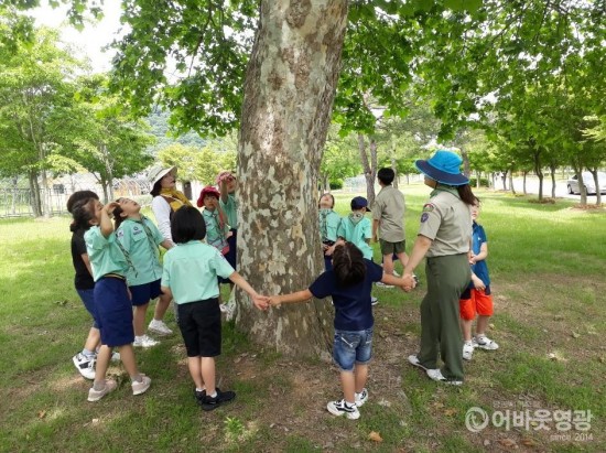 영광군, 숲해설 프로그램 운영으로 큰 호응 1.jpg