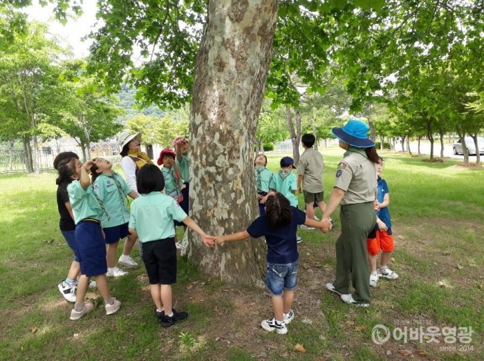 영광군, 숲해설 프로그램 운영으로 큰 호응 1.jpg