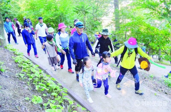 사본 -영광 물무산 가족사랑 힐링 걷기대회 대성황 1.jpg