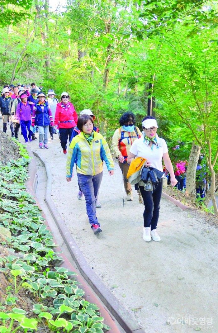사본 -영광 물무산 가족사랑 힐링 걷기대회 대성황 7.jpg