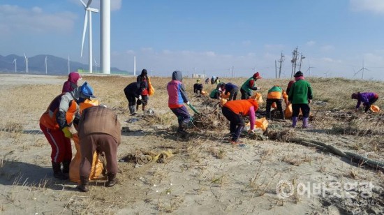 영광 천일염생산자 염전 주변 환경정화활동 전개 2.jpg