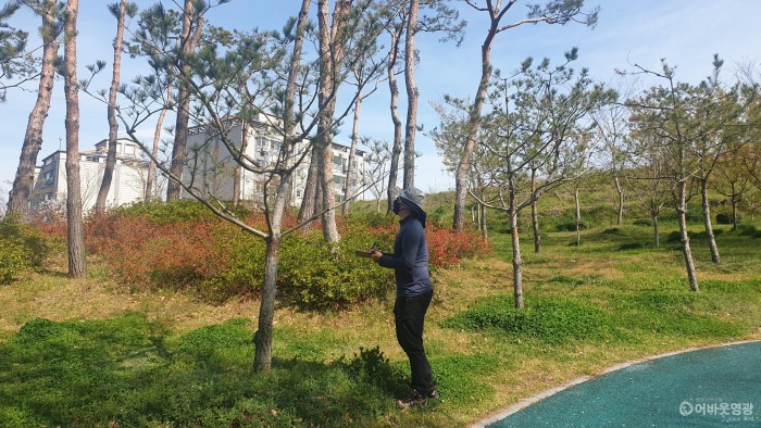 사본 -영광군, 생활권 수목 진료 민간 컨설팅.jpg