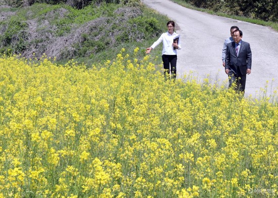 신천리 신흥마을  생약초단지2.JPG