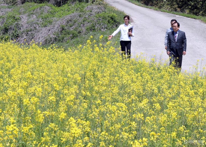 신천리 신흥마을  생약초단지2.JPG