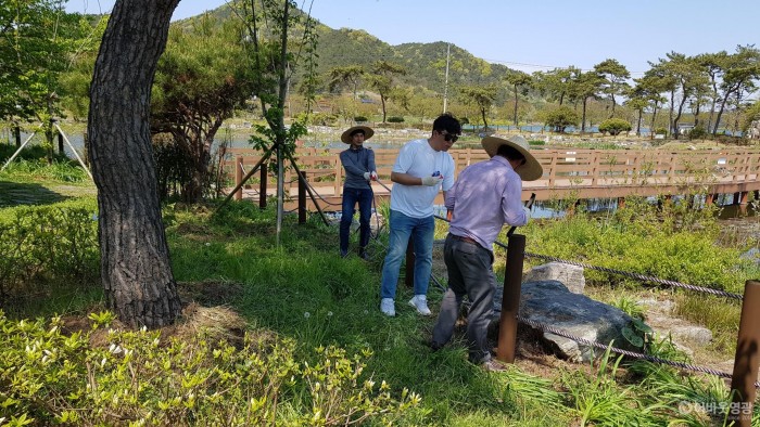 1. 불갑농촌테마공원 환경정비 2.jpg