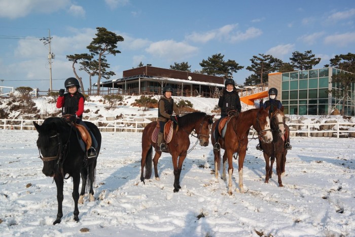 3. 영광승마장, 유소년승마단 추가 ‘단원 모집’ 3.JPG