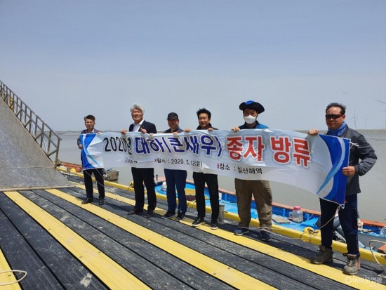 영광 칠산해역에 대하종자 방류 1.jpg