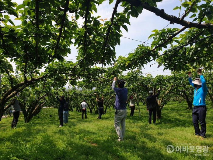 영광군, 농촌 일손돕기 추진.JPG