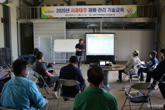 영광군 대표 육성 작목, 아삭 달콤 사과대추 3.JPG