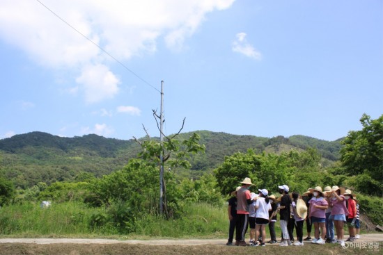 다운로드 (7).jpg