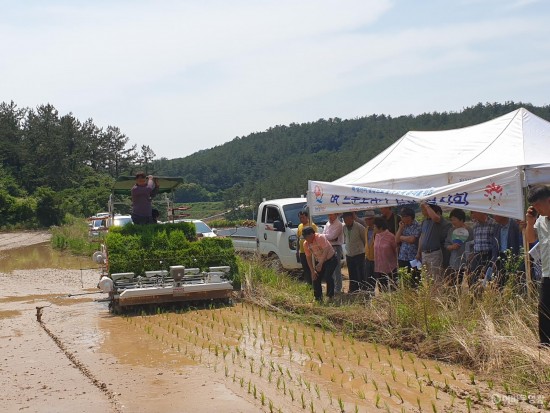 사본 -영광군, 벼 드문모심기 재배 기술 현장 연시회 개최.jpg