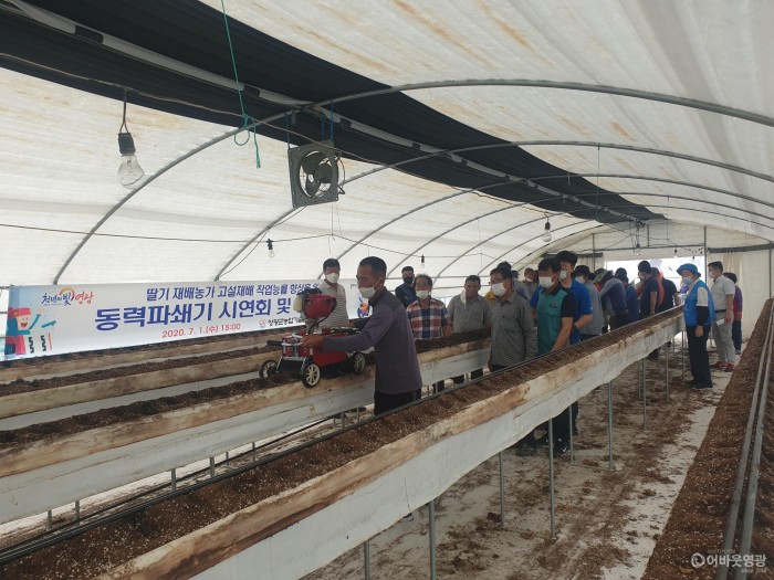 영광군, 딸기 고설재배 배지 동력파쇄기 시연회 개최 1.jpg