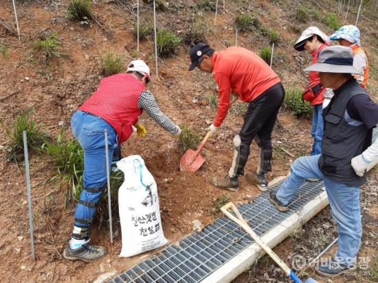2-1.사진(소금활용 칡 제거.jpg