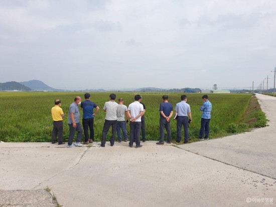 2-1.유색미 시범단지 출수후 현장평가 사진.jpg