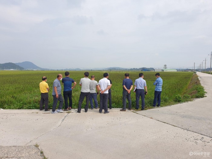 2-1.유색미 시범단지 출수후 현장평가 사진.jpg