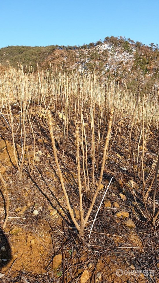 다운로드 (8).jpg