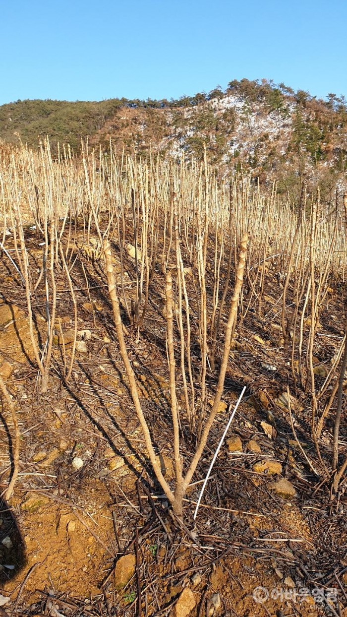 다운로드 (8).jpg