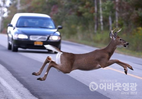 화면 캡처 2021-02-04 173447.png