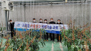 2-1.영광군, 영광군, 품목별농업인 연구회 애플망고 현장교육 실시.png