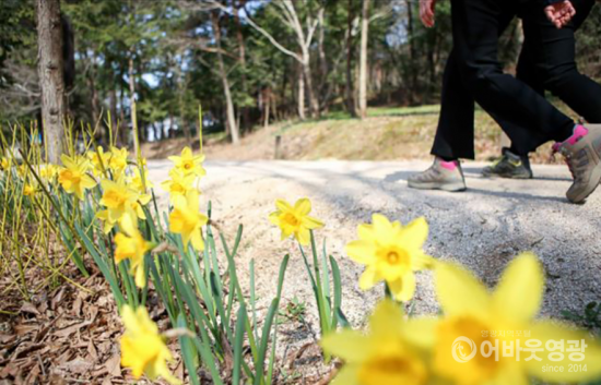 화면 캡처 2021-04-01 160632.png