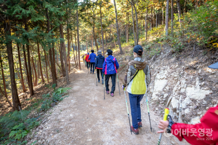 화면 캡처 2021-04-01 160644.png