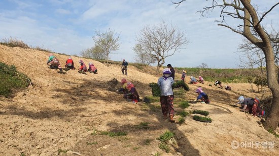 다운로드 (5).jpg