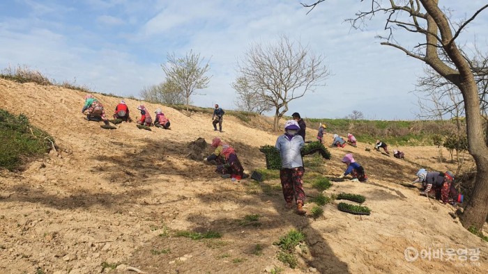 다운로드 (5).jpg