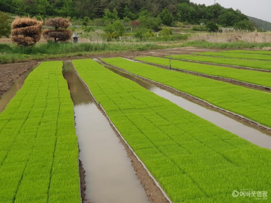 다운로드 (28).jpg