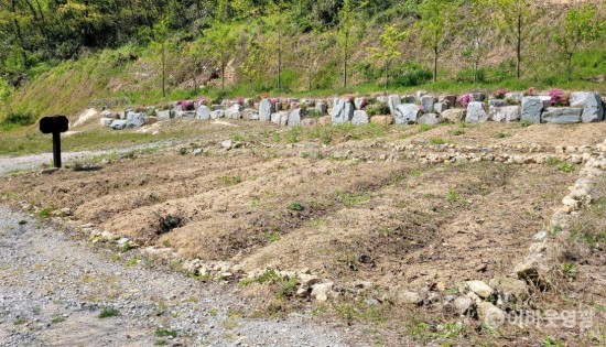 다운로드 (30).jpg