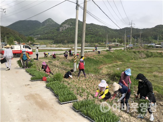 1-1. 꽃길조성사업.png