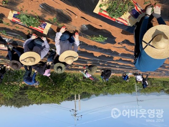 3-1. 사진자료.jpg