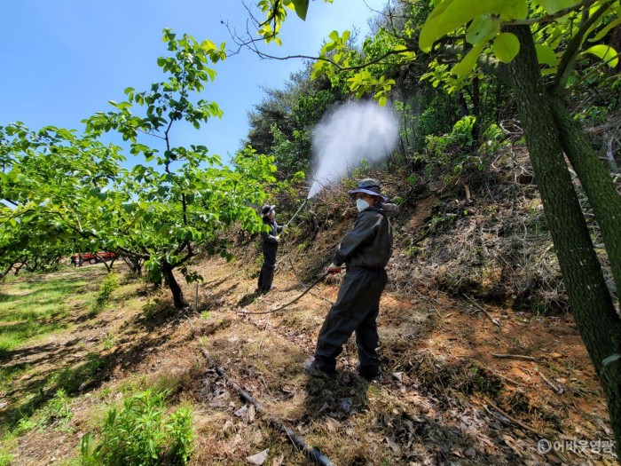 2-1.돌발해충 산림청 공동방제3.jpg