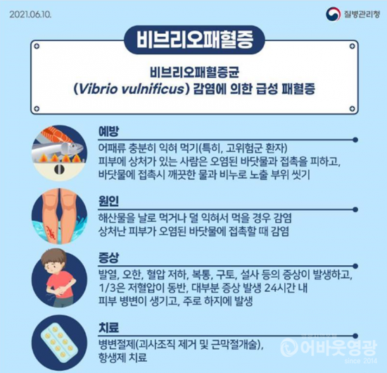 1.보도자료(영광군, 비브리오패혈증 예방수칙 안내).png