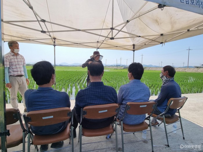 3.보도자료(영광군, 최고품질 벼 종자 채종포 관리기술 컨설팅 추진).jpg