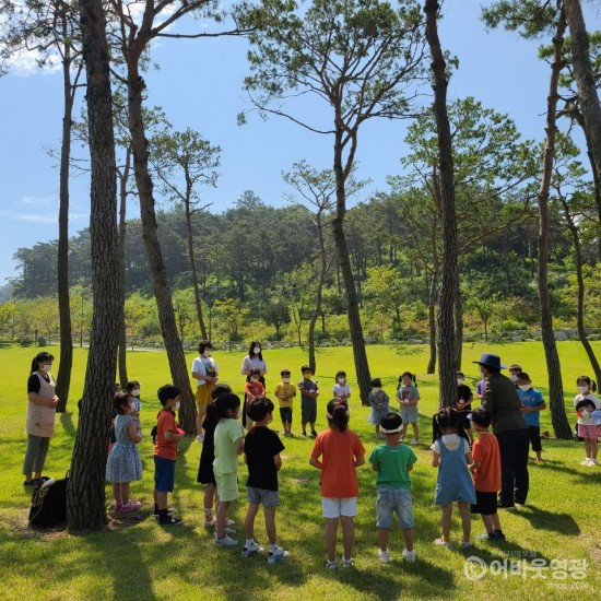 1.보도자료(영광군, 숲해설 프로그램 운영).jpg