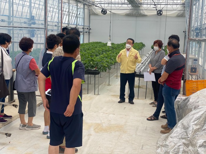 5.지난달 31일, 딸기 재배 농업인을 대상으로 신품종 