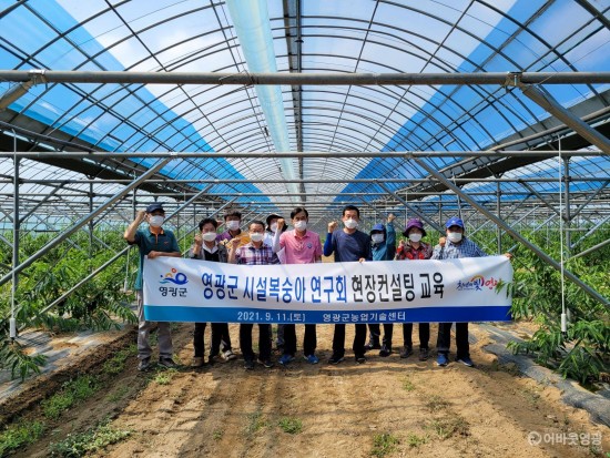 5.영광군은 지난 11일, 시설복숭아 재배농가를 대상으로 개별 맞춤형 현장 컨설팅을 진행했다..jpg