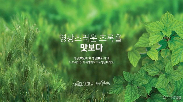 1. 영광군, 영광 보리 모싯잎 산업의 혁신적 육성으로 _우수특구_ 선정!.jpg