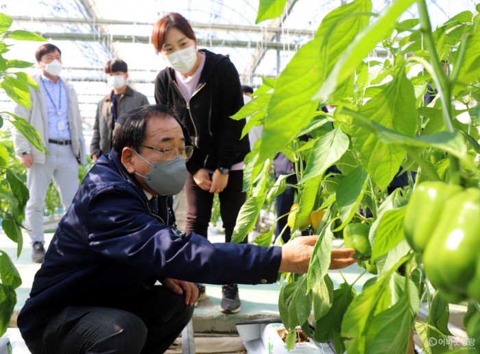 6.김준성 영광군수는 파르리카 농장을 방문하여 애로사항을 청취하는 시간을 가졌다.JPG