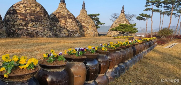 5.군남면은 주요도로변 가로화단과 옹기돌탑공원 등에 팬지 1만 6천여 본을 식재했다.jpg