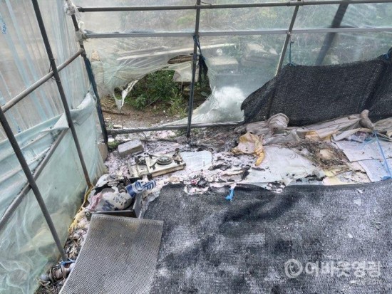 사본 -IMG_9672.jpg