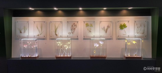 4.영광산림박물관에 설치된 압화 꽃예술 .jpg