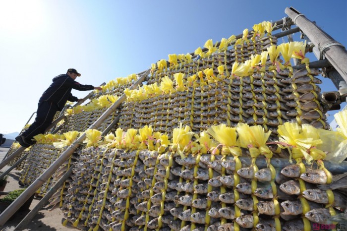 1.영광굴비 작업사진.jpg