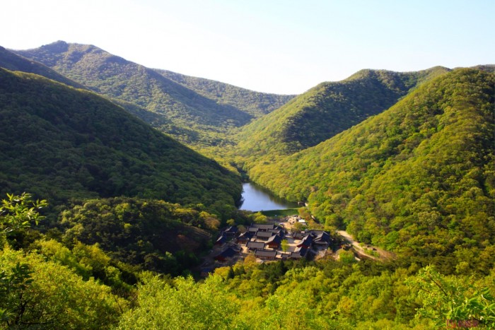 1.불갑면 불갑산과 불갑사 전경.jpg