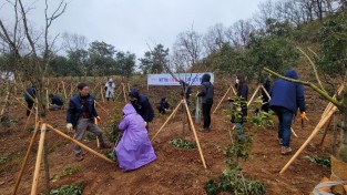 5.제77회 식목일을 맞이하여 숲속의 전남 영광군 협의회원, 영광군청 직원이 나무를 심고있다2..jpg