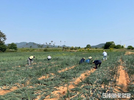 1.백수읍 영농철맞아 농촌일손돕기 실시.jpg