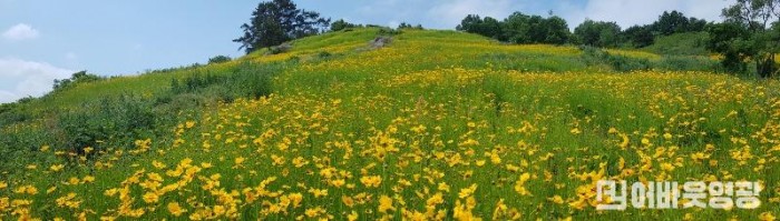 6-3. 지금 영광은  들숨에 봄꽃내음  날숨에 여름향기.jpg